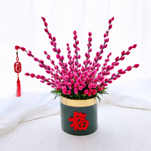 風生水起 Flourishing Wealth