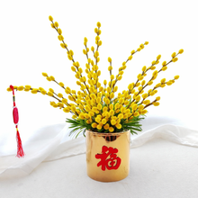 風生水起 Flourishing Wealth