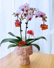 瑞气盈门 Abundance