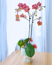 瑞气盈门 Abundance