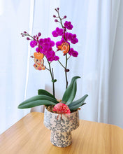 瑞气盈门 Abundance