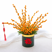 風生水起 Flourishing Wealth