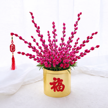 風生水起 Flourishing Wealth