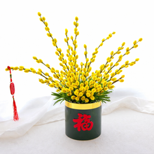 風生水起 Flourishing Wealth